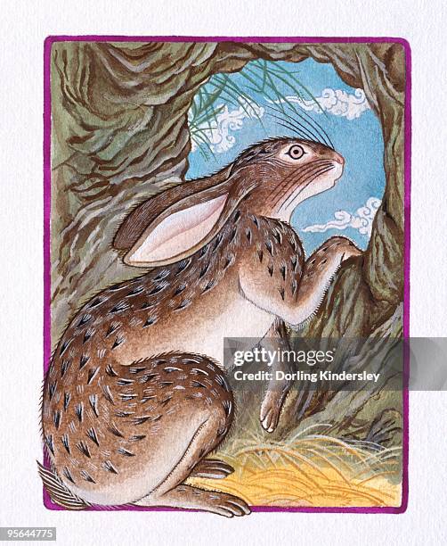 illustration of rabbit in the burrow, representing chinese year of the rabbit - year of the rabbit stock illustrations