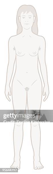 digital illustration of naked adolescent teenage girl - pubic hair stock illustrations