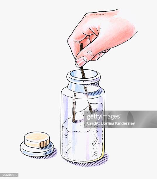 illustration of putting vanilla pods in jar with white sugar - sugar jar illustration stock illustrations