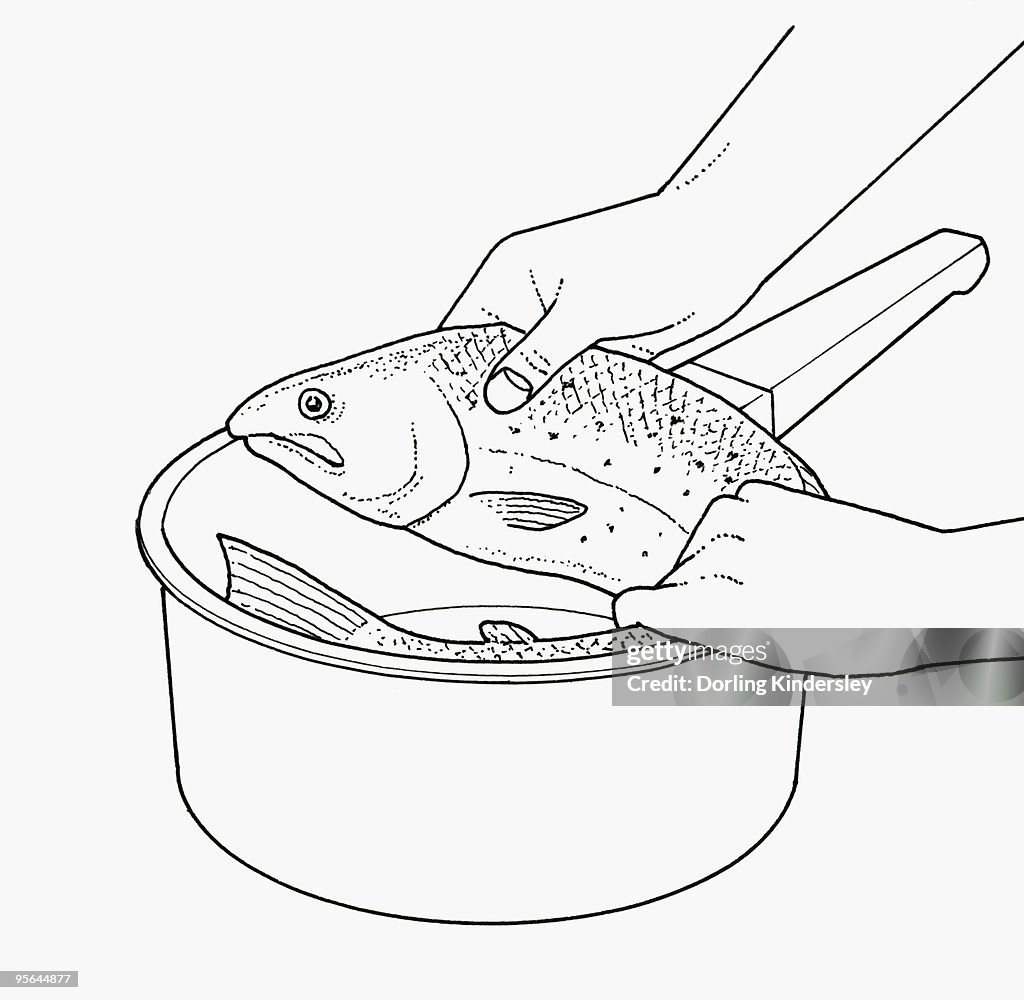 Black and white illustration of curling large, whole fish to fit into saucepan