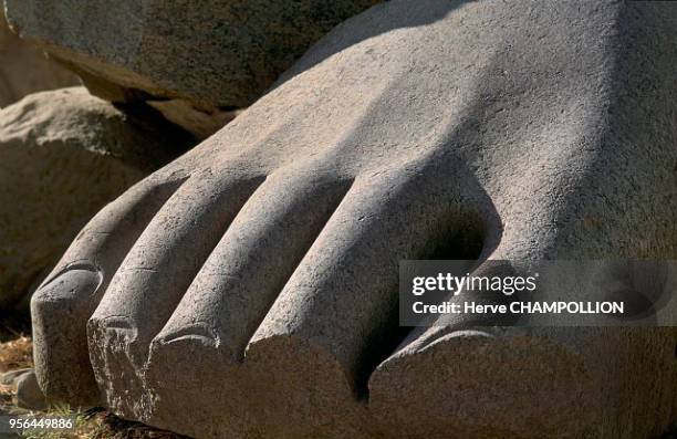 Ramesseum. West Thebes. This foot, the vestige of a granite colossus of Ramses II, measures approximately 1.5 meters. The tips of the toes are broken...