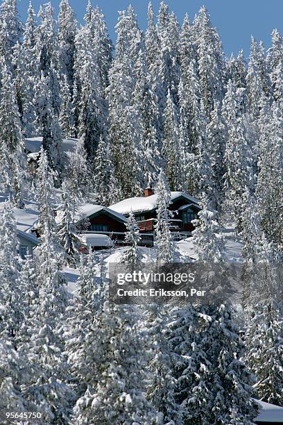 mountain lodge in a snowy forest, sweden. - dalarna winter stock-fotos und bilder