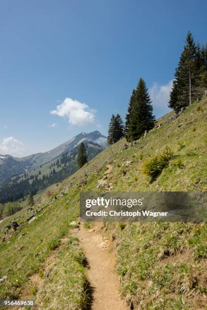 bavarian alps - wandern im chiemgau - wandern - fotografias e filmes do acervo