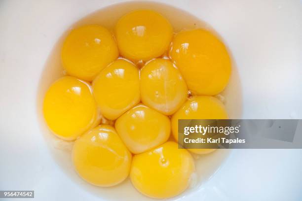egg yolks on a white bowl - tuorlo foto e immagini stock