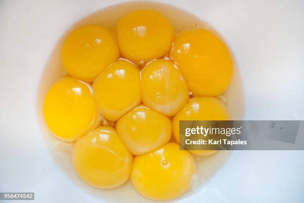 egg yolks on a white bowl - gema de ovo imagens e fotografias de stock