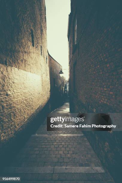 narrow street in a old town early morning - samere fahim bildbanksfoton och bilder