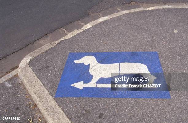 Peinture indiquant des toilettes pour chiens dans une rue de Paris, France.