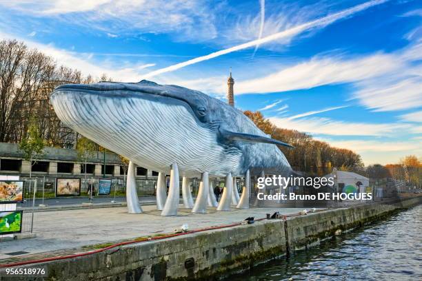 La Baleine Bleue' à Paris le 4 Décembre 2015 pendant la COP21. Projet de l'association 'Un cadeau pour la terre'. Réplique en résine grandeur nature...