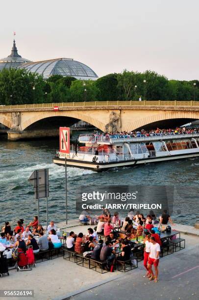 Quai et berge de la Seine, pique-nique, 4 juillet 2015, Paris, France.