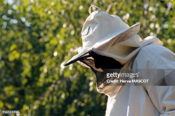Un apiculteur avec une vareuse de protection, 10 aout 2009, Lot-et-Garonne, France.