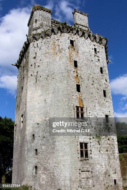 Forteresse de l'Argoet, donjon de forme octogonal et haut de 57 mètres, Elven 3 juin 2017, Morbihan, France.