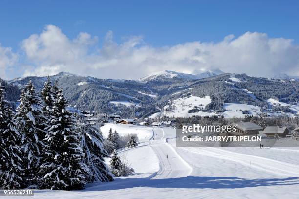 Haute-Savoie Pays du Mont-Blanc, Mege?ve, ski de fond et sentier pie?ton a La Livraz//France, Haute-Savoie Country of Mont-Blanc, Mege?ve,...