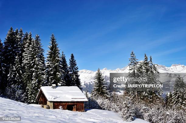 Haute-Savoie Pays du Mont-Blanc, domaine skiable de Saint-Gervais-Mont-Blanc, ferme d'alpage avec en arrie?re plan le Massif des Aravis//France,...