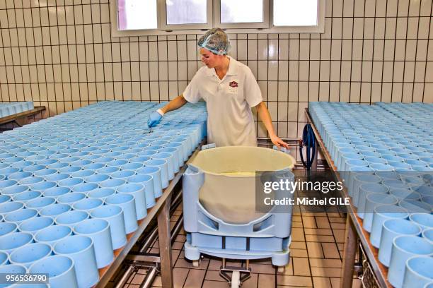 Moulage des fromages normands AOP au lait cru moulé manuellement à la louche sur table, fomagerie Gillot, 25 septembre 2017,...