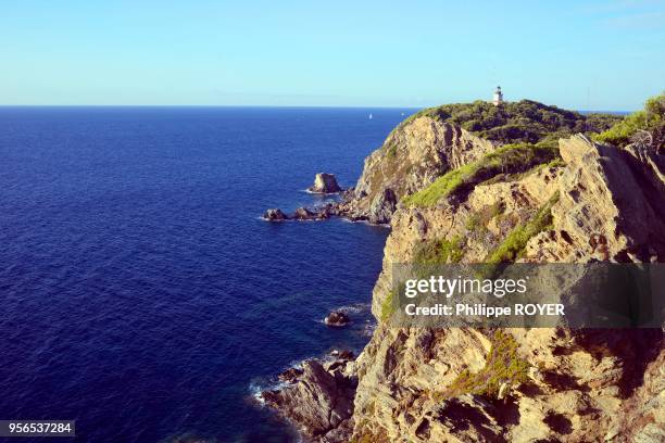 La cote sud l'ile de Porquerolles pres de Hyeres dans le Var, France.