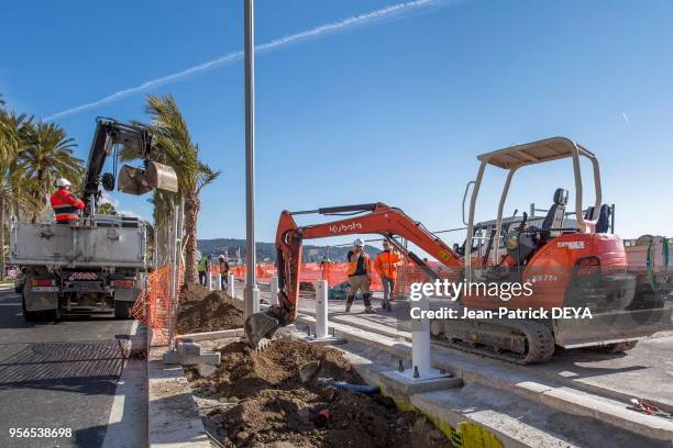 Plantation de palmier sur la Promenade des Anglais le long de la route, travaux d?embellissement et de sécurisation , juin 2017, Nice, France.