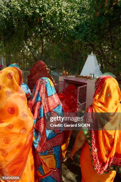 Inde, Rajasthan, Pushkar, lieu de pelerinage, groupe de femmes faisant une offrande//India, Rajasthan, Pushkar, place of pilgrimage, group of women...