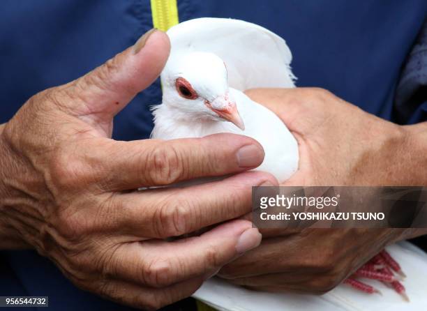 Man holds a white dove as he releases it in the air to pray for peace at the controversial Yasukuni shrine in Tokyo, on August 15, 2017. Japan marked...
