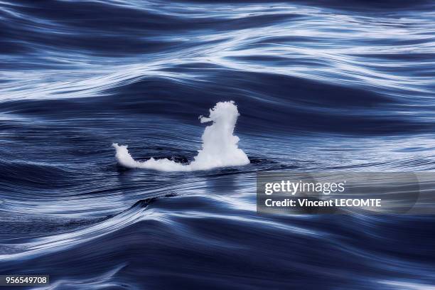 Un minuscule bout de glace de quelques centimètres de haut dérive sur l?immense l?océan Antarctique, au large de la Terre Adélie, en Antarctique,...