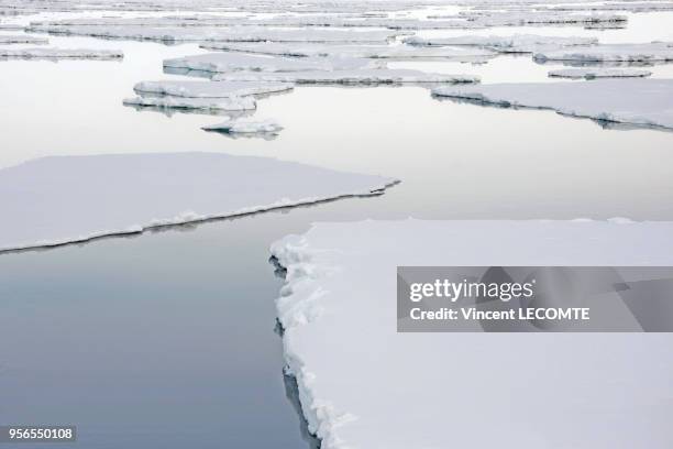 Débris de la banquise lors de la débâcle au début de l'été Austral en Terre Adélie, en Antarctique, en janvier 2009.