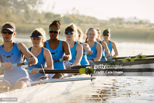 female rowers rowing scull on sunny lake - sculling crew stock pictures, royalty-free photos & images