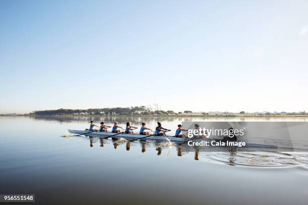 female rowing team rowing scull on tranquil lake - coxswain stock pictures, royalty-free photos & images