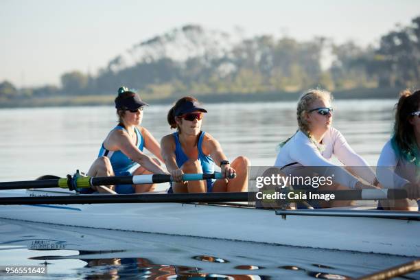 female rowing team rowing scull on sunny lake - sculling crew stock pictures, royalty-free photos & images