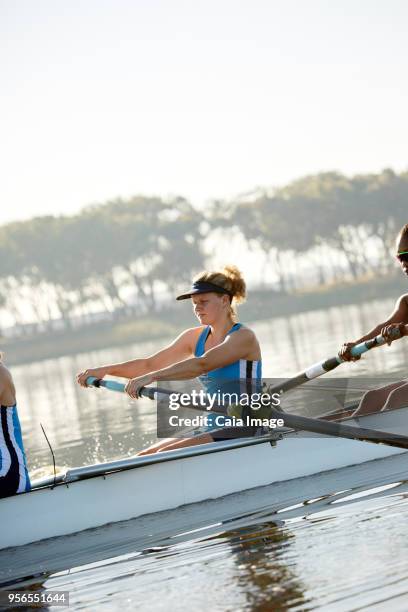 determined female rower rowing scull on lake - sculling crew stock pictures, royalty-free photos & images