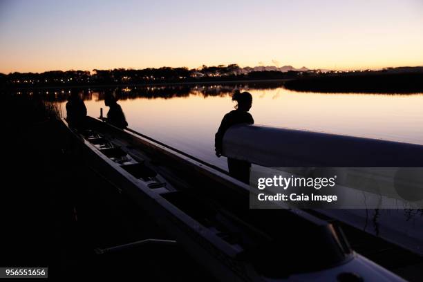 female rowing team carrying scull at sunrise lake - sculling crew stock pictures, royalty-free photos & images