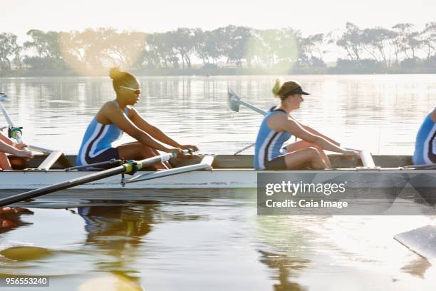 female rowing team rowing scull on sunny lake - sculling crew stock pictures, royalty-free photos & images