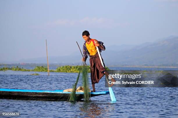 Myanmar , province de Shan, Lac Inle, village Nyaungshwe, pêcheur Intha pêchant dans le lac, pêche au filet. Myanmar, Shan state, Inle lake,...