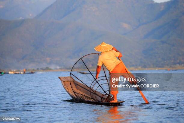 Myanmar , province de Shan, Lac Inle, village Nyaungshwe, pêcheur Intha pêchant dans le lac, pêche traditionnelle à la nasse. Myanmar, Shan state,...