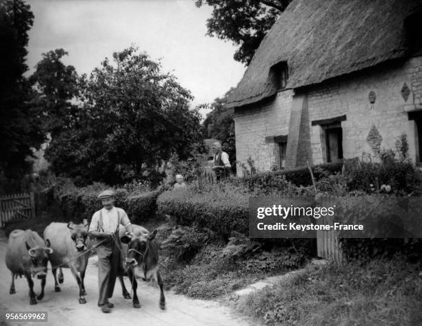 Albert Jenkins passe avec ses vaches devant l'un des cottages au toit de chaume du village à vendre de Woolstone, Royaume-Uni.