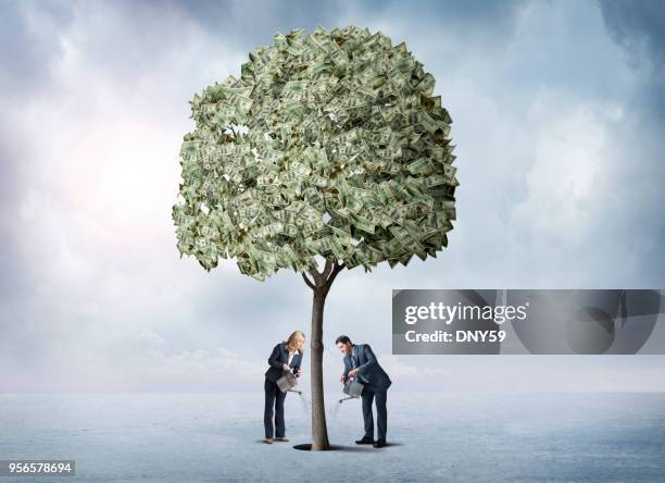 man and woman watering their money tree - guyana stock pictures, royalty-free photos & images