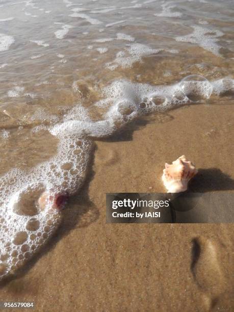 122 Breaking Out Of Shell Stock Photos, High-Res Pictures, and Images ...