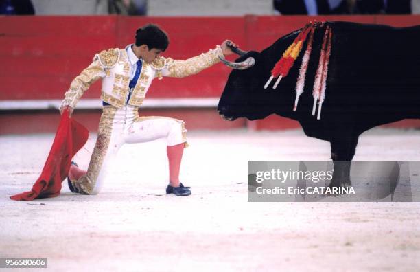 Le toréador espagnol El Juli met à mort un taureau dans l'arène lors d'une corrida en août 1998 à Nîmes, France.