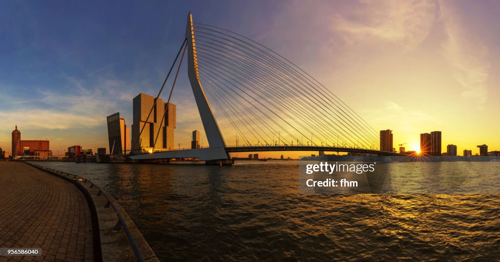 Rotterdam skyline at sunset with Erasmusbridge (Southholland, Netherlands)