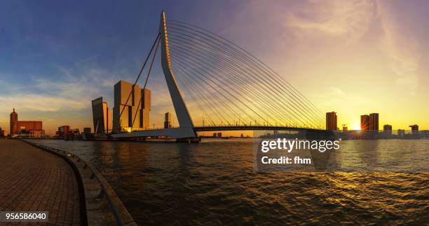 rotterdam skyline at sunset with erasmusbridge (southholland, netherlands) - rotterdam bridge stock pictures, royalty-free photos & images