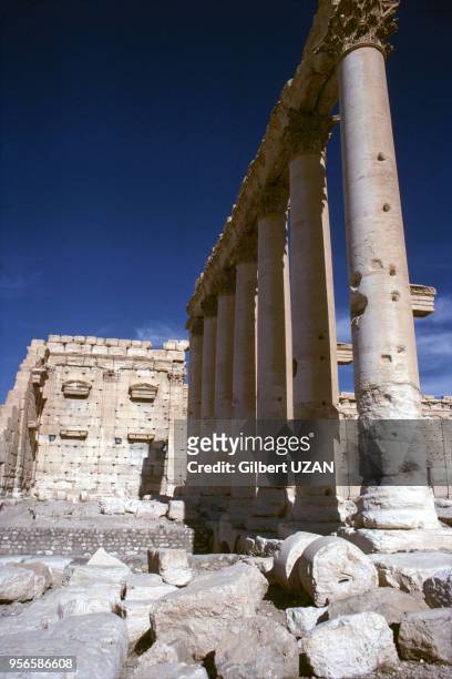 Des colonnes de temples en ruines, vestiges antiques sur le site historique en novembre 1977 à Palmyre, Syrie.