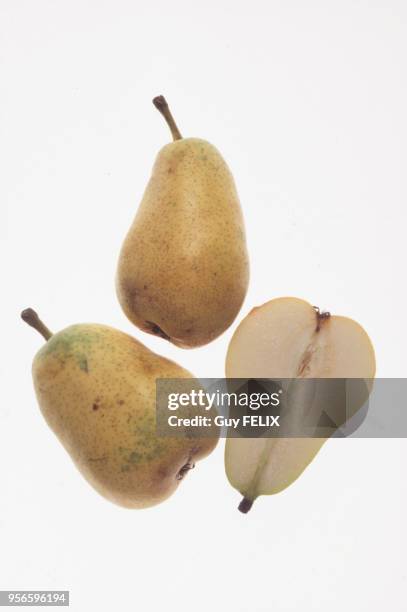 Poires de variété Docteur Jules Guyot.