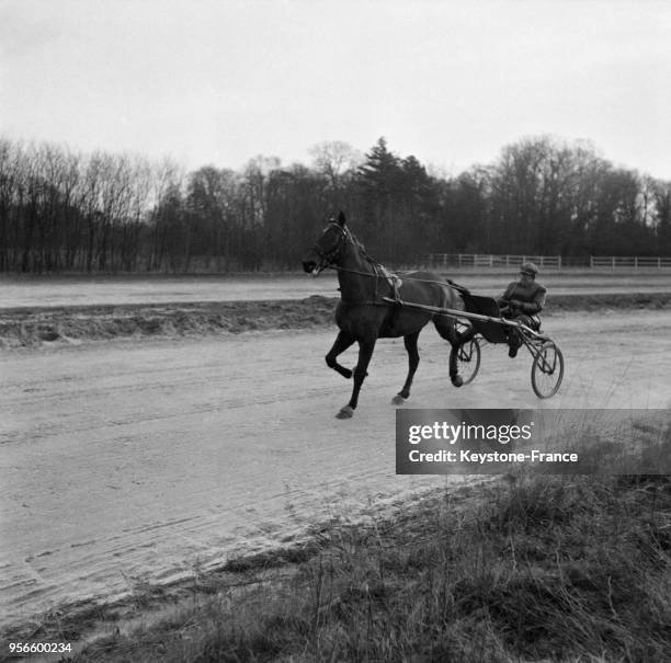 Séance d'entraînement pour Gelinotte sous la conduite du maître driver Charles Mills, à Chanant, France le 10 février 1956.