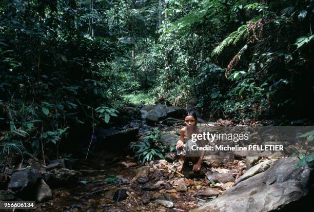 Jeune fille du peuple Iban dans une forêt en septembre 1978 dans l'Etat de Sarawak sur l'île de Bornéo, Malaisie.