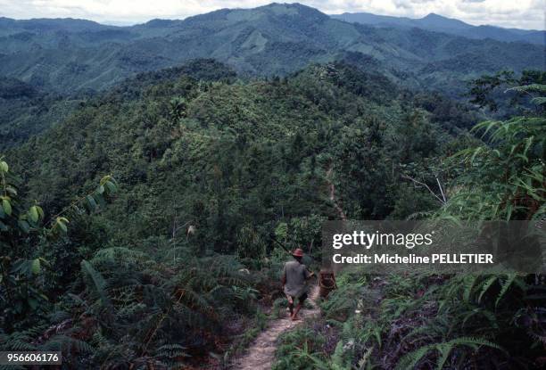 Sentier dans la forêt en septembre 1978 sur l'île de Bornéo dans l'Etat de Sarawak en Malaisie.