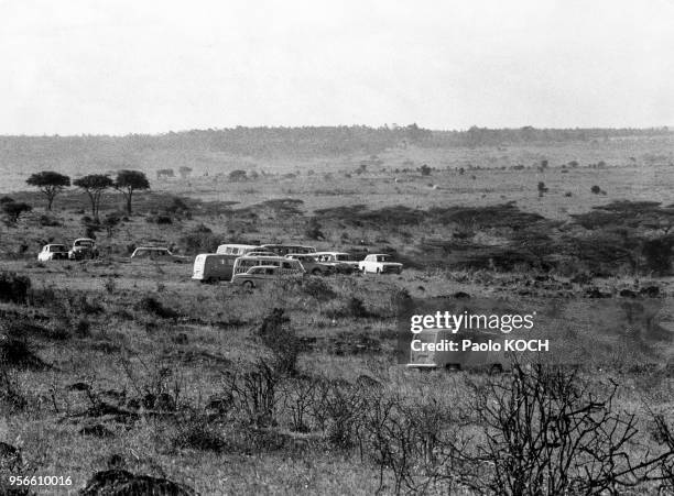 Voitures de touriste lors d'un safari dans le parc national de Nairobi, en 1970, Kenya.