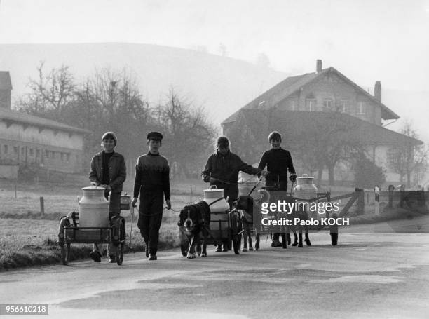 Enfants livrant le lait dans des charrettes tirées par leurs chiens, dans le canton de Berne, Suisse.