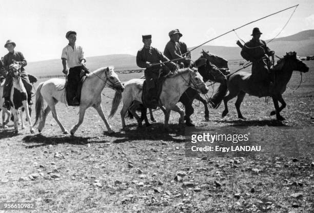 Groupe de cavaliers équipés d'urgas en Mongolie.