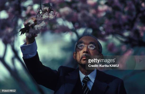 Empereur Hirohito sous un cerisier en fleurs dans les années 1980 au Japon.