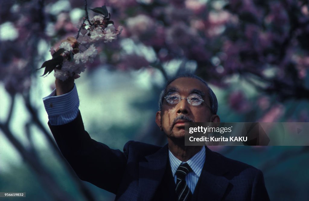 L'empereur Hirohito sous un cerisier en fleurs