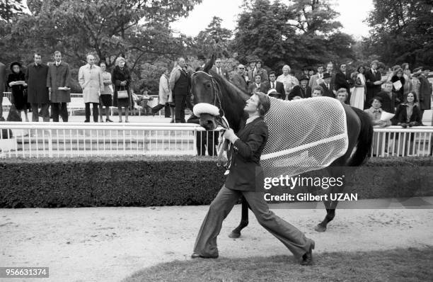 Un cheval participant au Prix de l'Arc de Triomphe le 6 octobre 1974 à Paris, France.