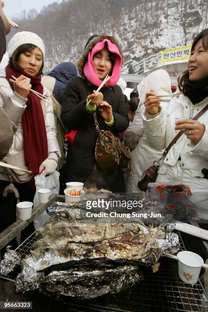 Fish caught through a hole in a frozen river is cooked in a fire during a contest to catch Mountain Trout on January 9, 2010 in Hwacheon-gun, South...